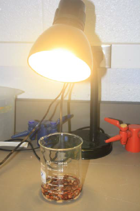 a lamp and a measuring cup