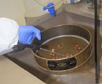 Lab member using resources inside the bowl